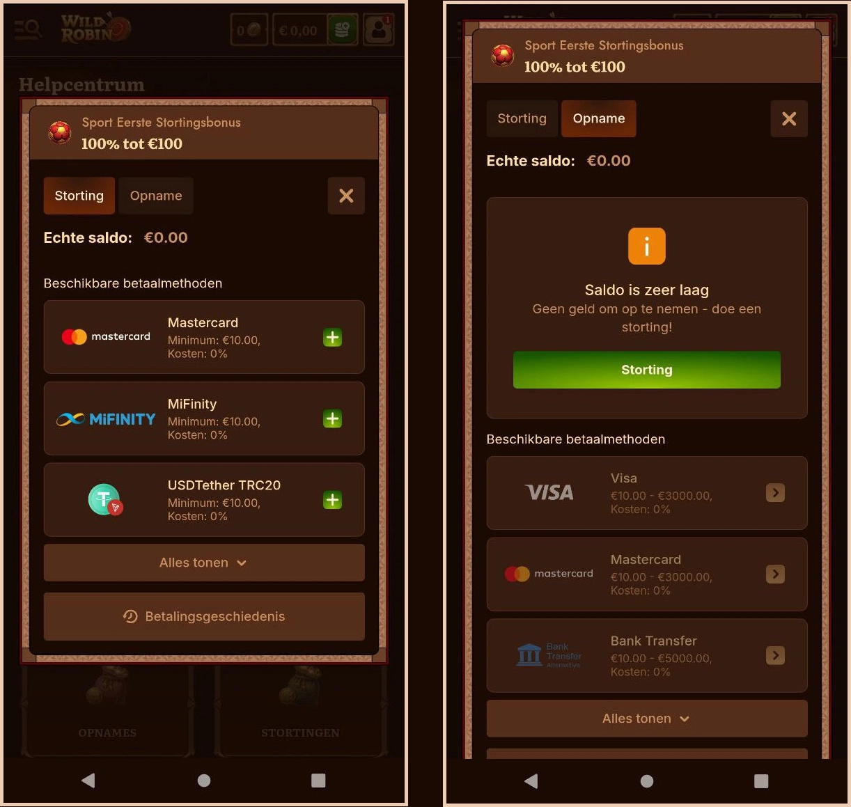 Overzicht van stortings- en opnameopties bij WildRobin Online Casino